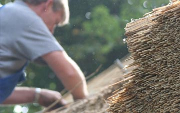 professional Devoran thatchers