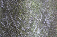 Devoran fibreglass roof work